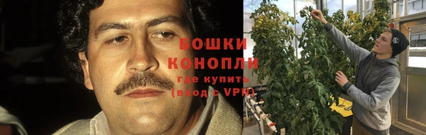 Альфа ПВП Каменногорск