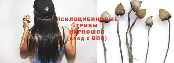 прущая мука Каменск-Шахтинский