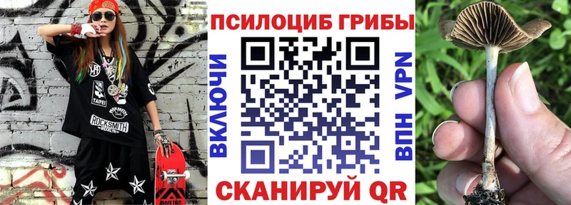 Галлюциногенные грибы Magic Shrooms  Купить закладки  Красноуральск 